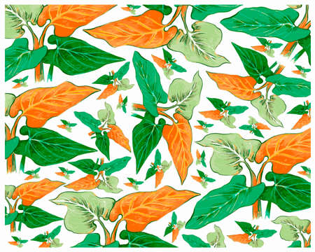 Ecology Concepts, Illustration Background of Elephant Ear, Philodendron or Colocasia Plants for...