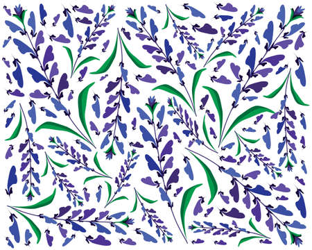 Beautiful Flower, Illustration Background of Blue Sage Flowers or Salvia Sclarea Flower with Green Leaves.のイラスト素材