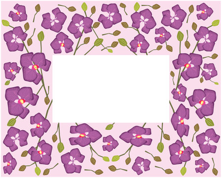 Flower and Plant, Illustration Frame of Beautiful Purple Phalaenopsis or Doritaenopsis Orchid Flower Streak.のイラスト素材
