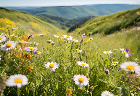 vibrant, multicolored flower field in a warm valley, creating a picturesque and inviting landscape.AI Generatedの素材