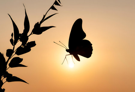 Shadow of a butterfly perched on a flower during sunset, creating a dramatic and serene scene.AI Generatedの素材