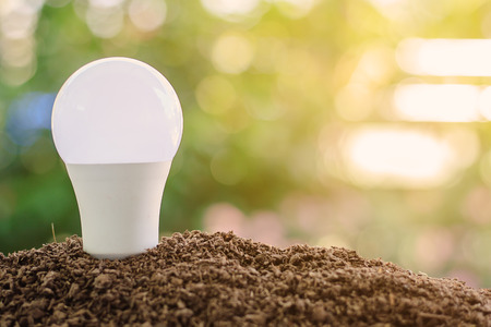 LED light bulb on soil against blurred natural green background with copy space for saving energy and environment conceptの写真素材