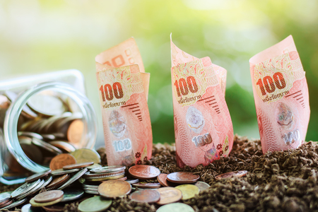 Coin in the glass jar and banknote, 100 Baht Thai currency growing from soil against blurred natural green background for investment, business, finance and money growth conceptの写真素材
