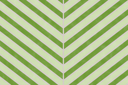 Abstract green leaf pattern on paper textured background for nature and wrapping paper design conceptの写真素材