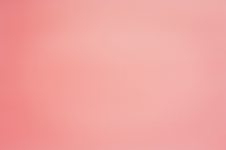 Pink pastel color background with soft light
