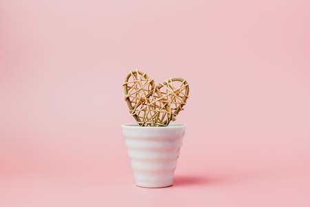 Wooden wicker heart in white flower pot on pink background for love and Valentine's day conceptの写真素材