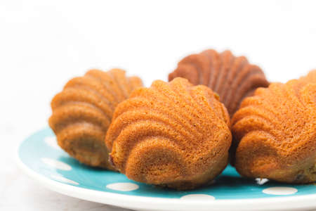 Madeleine cakes with a distinctive shell-like shape on white background for bakery, food and eating conceptの写真素材