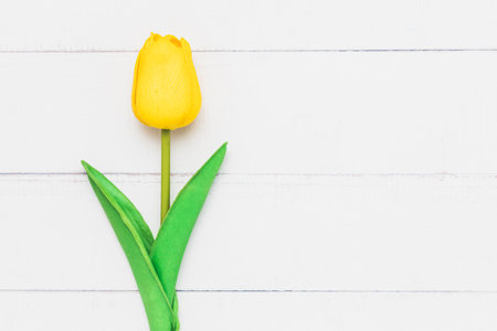 Top view of an artificial yellow tulip on white table background for nature decoration and springtime conceptの写真素材