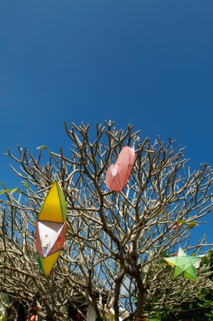  Lantern on the treeの写真素材