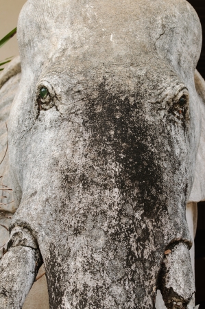 Close-up of stone carved elephant's faceの写真素材