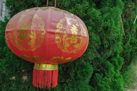 Chinese red lantern with green backgroundの写真素材