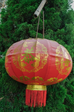 close-up of a red chinese lanternの写真素材