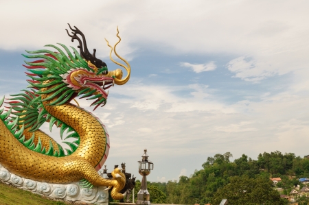 Chinese Golden dragon close-up, Thailandの写真素材