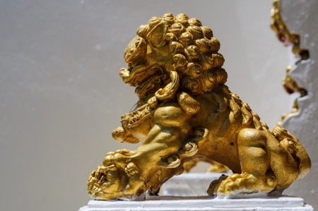 Statue of traditional golden Lion in the northern Thailandの写真素材