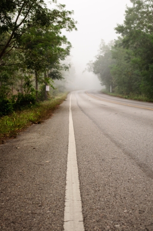 The morning road with foggyの写真素材