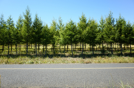 Prairie landscapeの写真素材