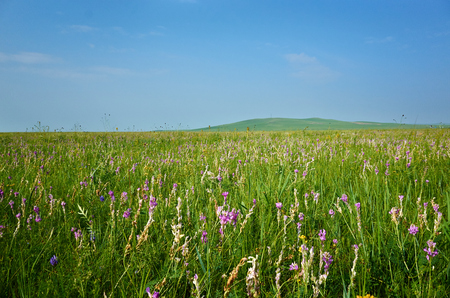 Inner Mongolia grassland sceneryの写真素材
