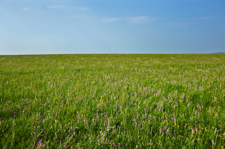 Inner Mongolia grassland sceneryの写真素材