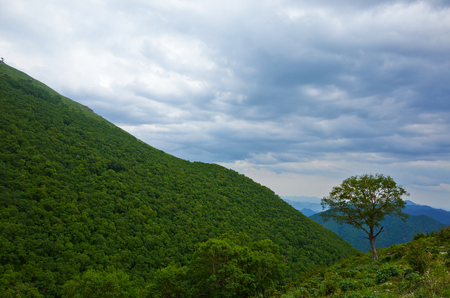 LingShan mountain sceneryの写真素材