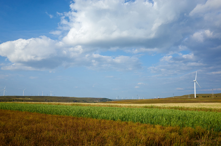 grassland scenery grassland scenery