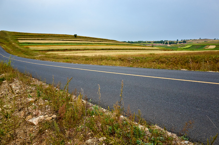 grassland sceneryの写真素材