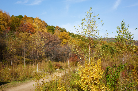 LaPaGouMen virgin forest in Autumnの写真素材