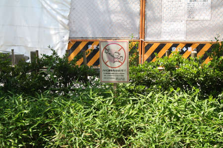 The sign for do not feeding birds in Japan.の写真素材