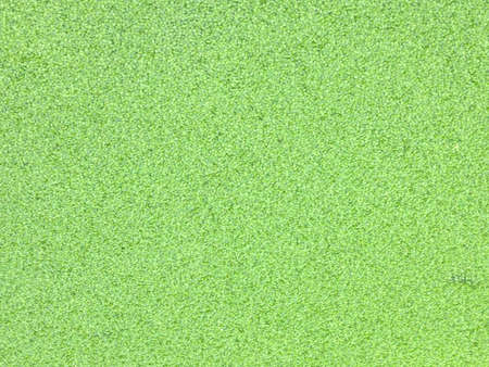 Green plant on the water.の写真素材