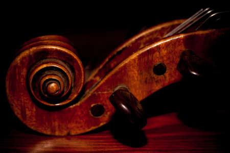 Violinの写真素材