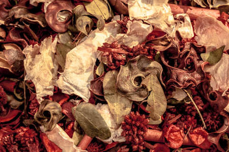 Dried petals and seeds backgroundの写真素材