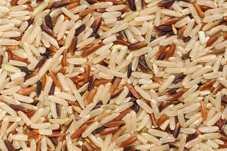 brown jasmine riceの写真素材