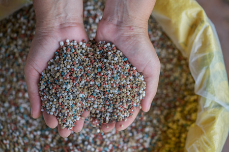 npk fertilizer in farmer hand