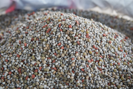 close up chemical Fertilizer in sacks.のeditorial素材
