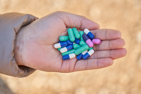 Two-piece, hard starch medicine capsules  in woman hand            の写真素材