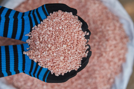Potassium chloride, 0-0-60 ,  fertilizer in female farmer wearing blue cloth gloves.