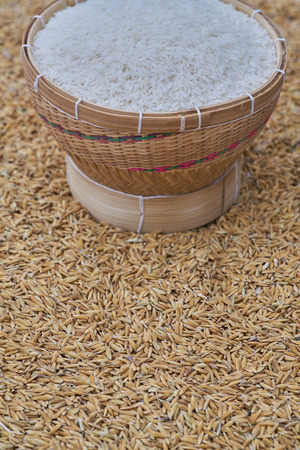 Close-up of grains of uncooked white  jasmine rice in  bamboo container . Jasmine rice is grown primarily in Thailand (Thai hom mali or Thai fragrant rice)の写真素材