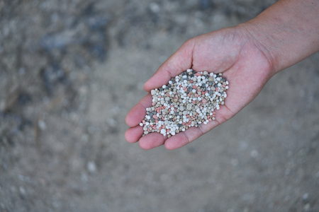 Bulk Blend Fertilizer in farmer hands.の写真素材