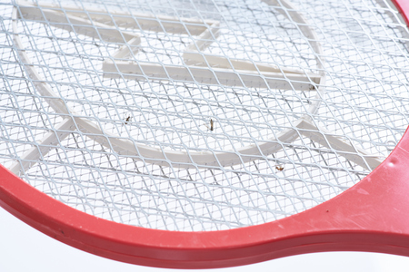 Electric Fly Swatter Mosquito Pet Insect Killer Bug Zapper Racket Battery Batの写真素材