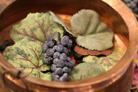 Grape fruit in golden bowlの写真素材