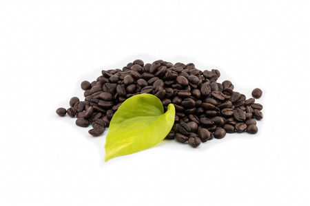 coffee beans on white backgroundの写真素材