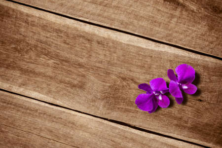 Purple orchid wooden background.の写真素材