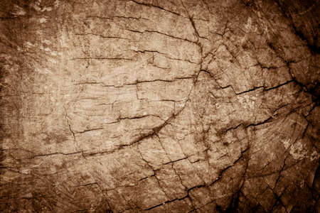old cracked wood background and texture.の写真素材