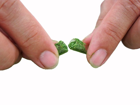                    Putting horse radish leaf which already crushed into the capsule by hand            の写真素材