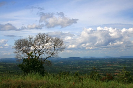 Alone bare tree on the hill at Stonehenge of thailand, Chaiyaphum provinceの写真素材