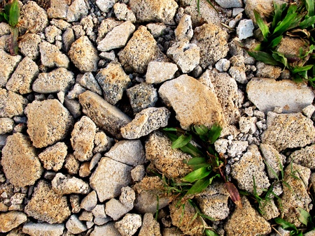 Cracked concrete on ground with plant の写真素材