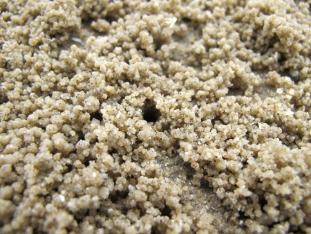 Crab hole with many ball on beach                               の写真素材