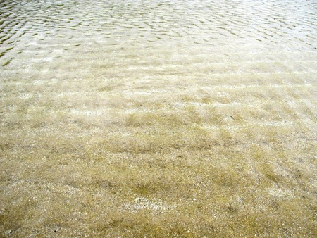 Texture of wet sand and sea water on beachの写真素材