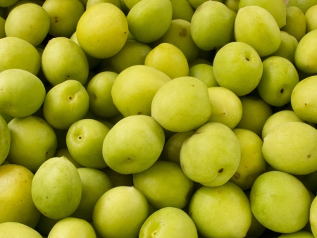 Heap group of many fresh green plumの写真素材