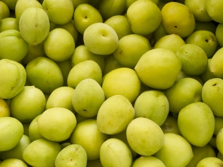 Heap group of many fresh green plumの写真素材