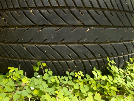 Pattern of old tyre above small plant on groundの写真素材